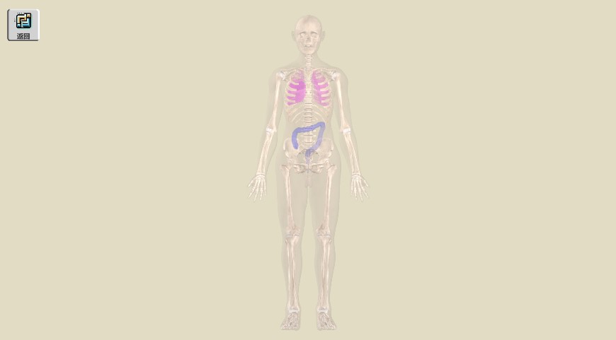 1711351631313579.jpg 5.jpg