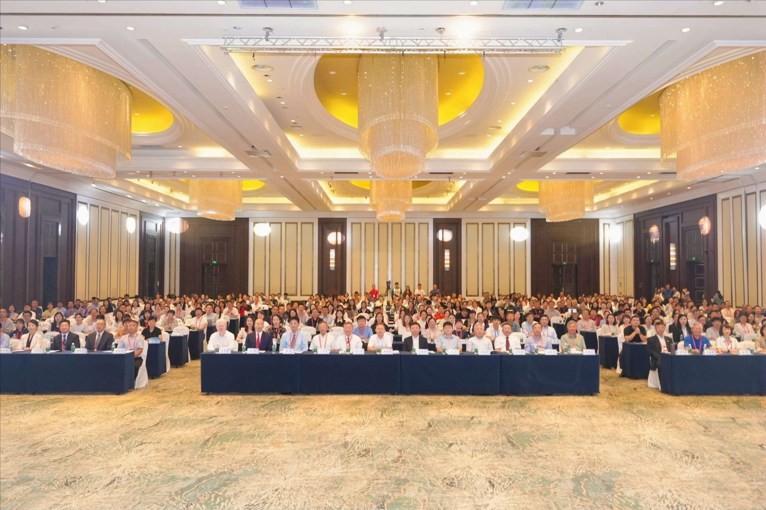 1729670675157023.jpeg 2.jpeg