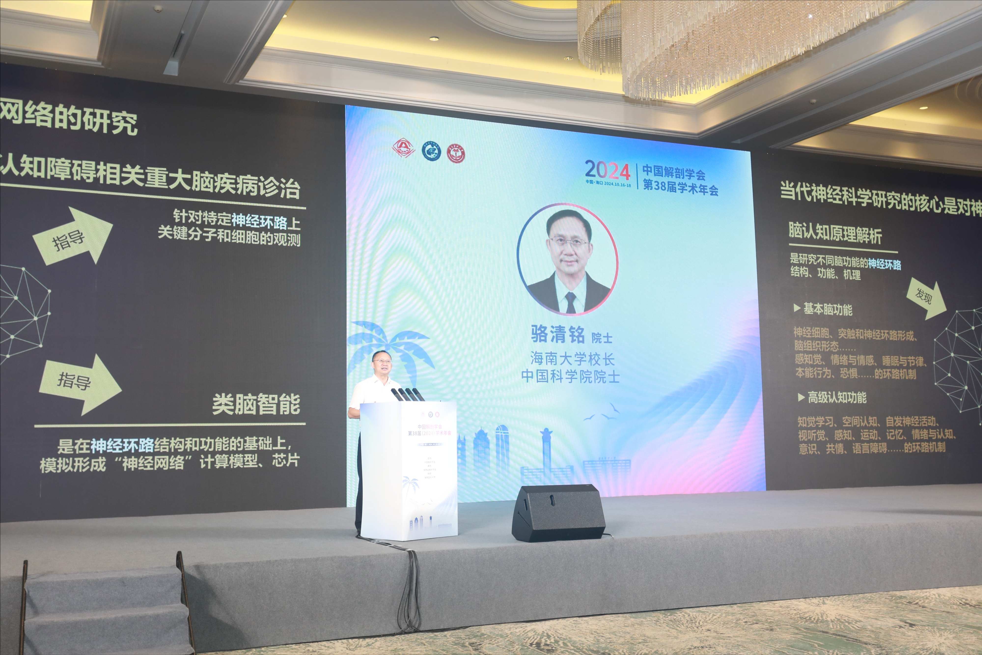 1729670929172090.jpeg 4.jpeg